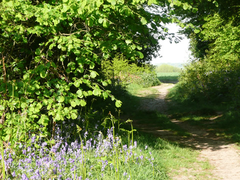 Counselling and psychotherapy in Great Missenden